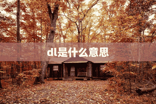 dl是什么意思(dl是什么意思网络用语)